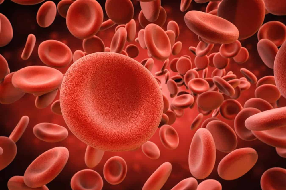 Il meteo del sangue in Toscana