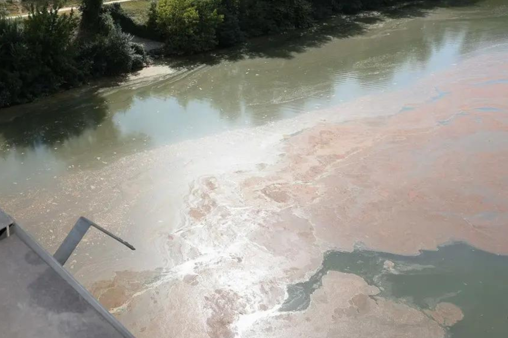 Chiazza d’alga in Arno, nessun rischio per la salute