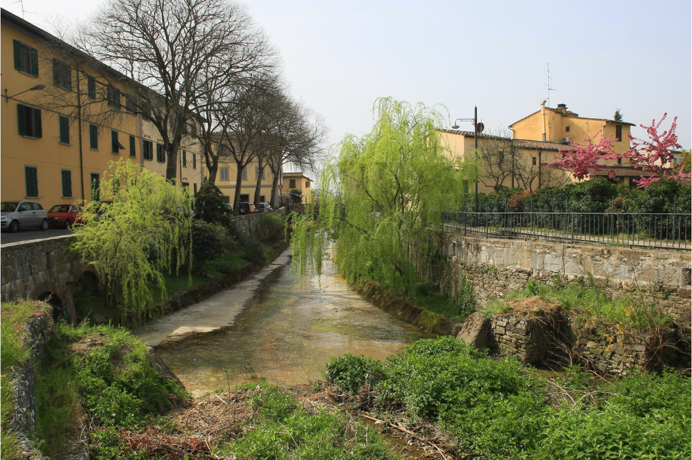 FdI: “Parco del Mensola: no ad un secondo caso Cascine“