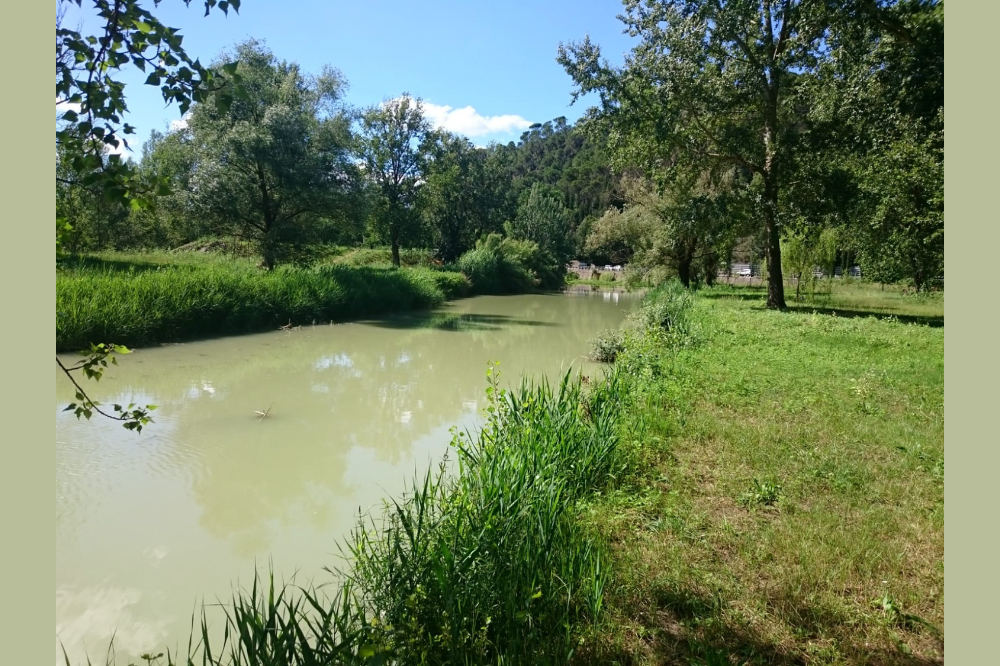 Sigle e associazioni ecologiste lanciano l'allarme: 'La Pesa va tutelata'