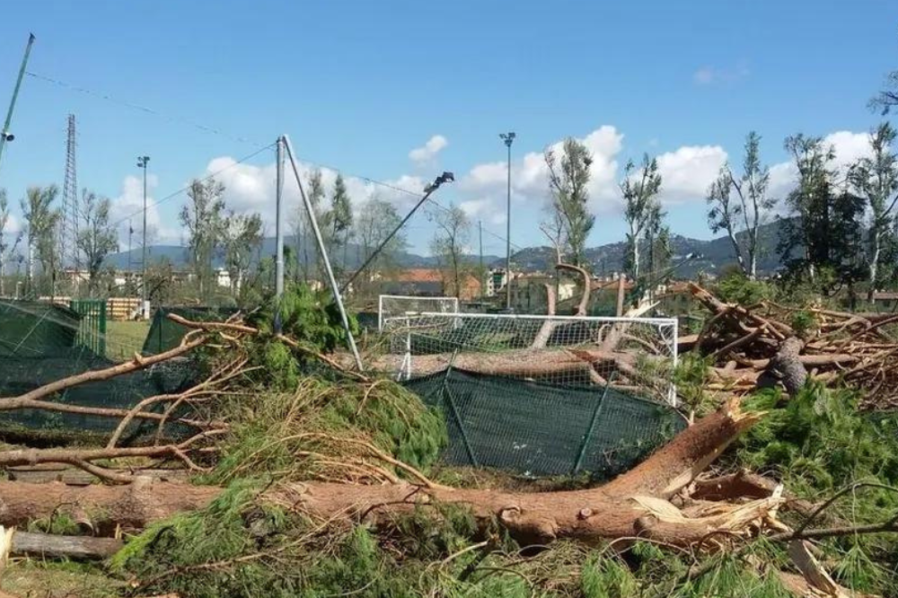 Cantiere tramvia, a Bellariva sono stati abbattuti altri alberi