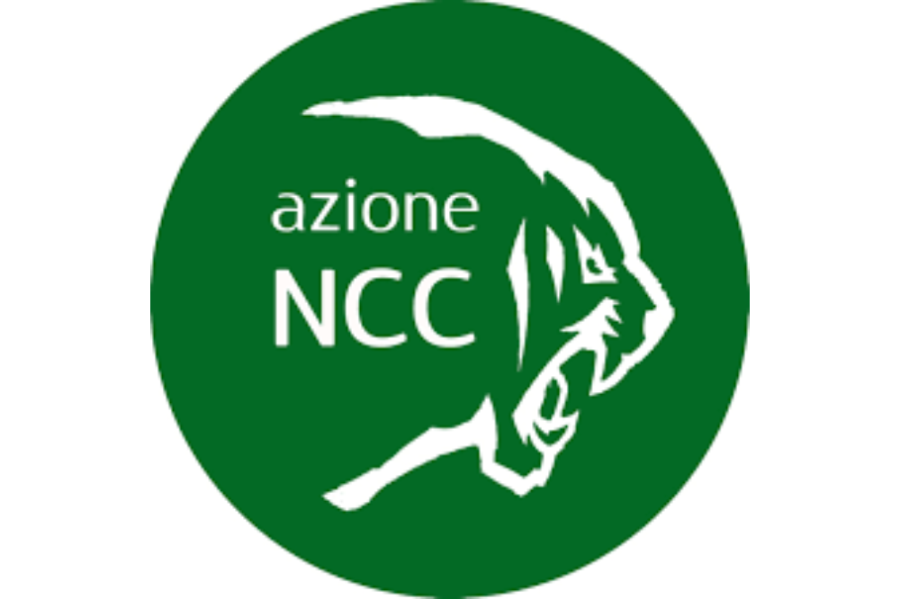 Azione Ncc dopo i fatti di ieri sera: 'Violenza sempre da condannare, clima di tensione indubbio'