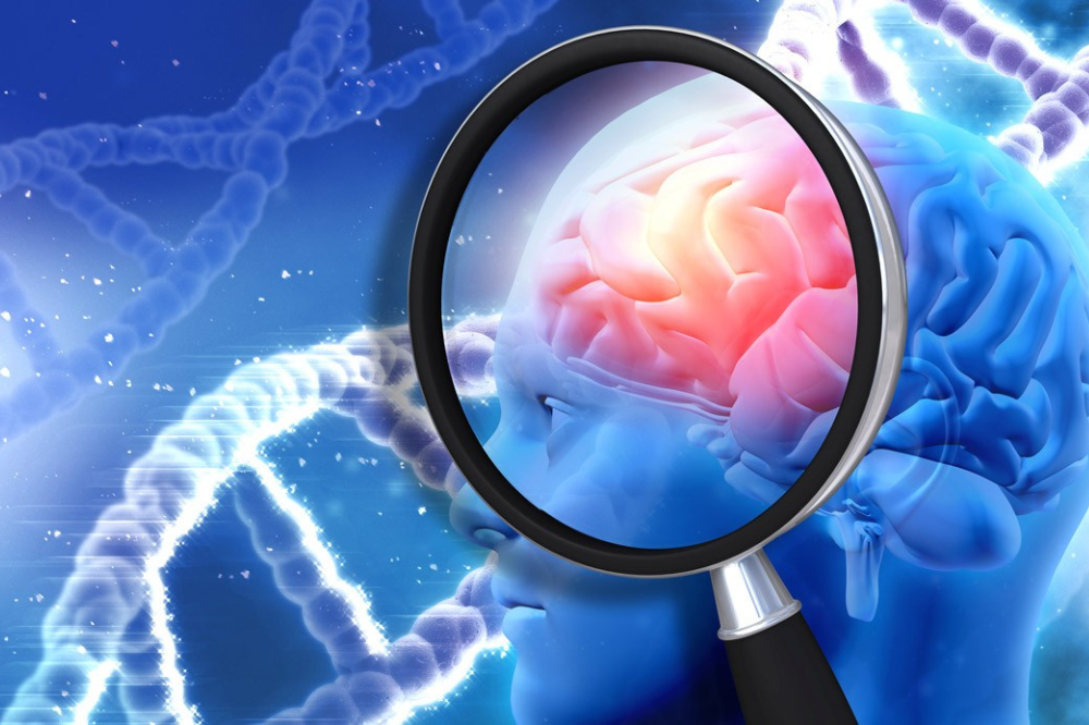 Giornata mondiale dell'Alzheimer, a Barberino un incontro dopo 10 anni di studio e ricerca