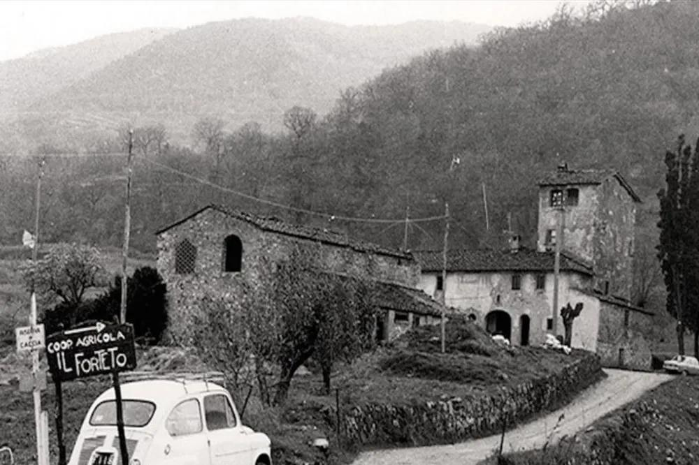 La cooperativa agricola Il Forteto è stata messa in liquidazione