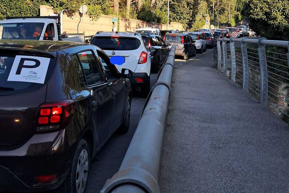 Verba volant, scripta manent