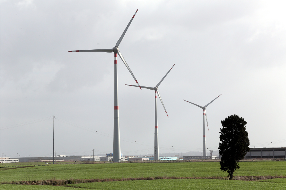Mugello, la denuncia del comitato Crinali liberi: 'Foreste e sentieri devastati dai lavori'