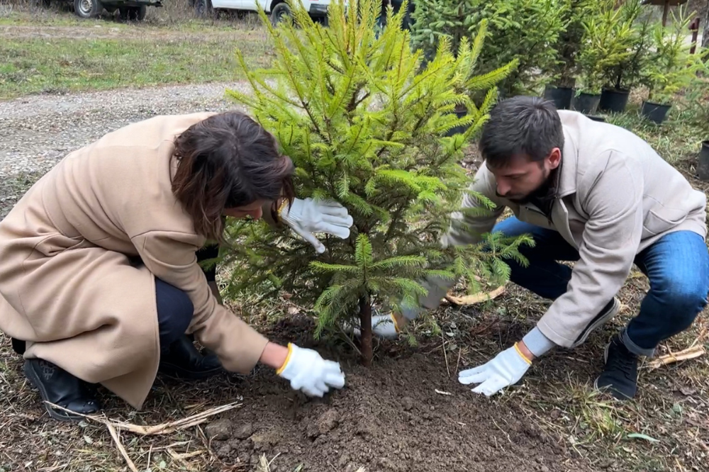 Londa, al via la rigenerazione di quindicimila metri quadrati di bosco