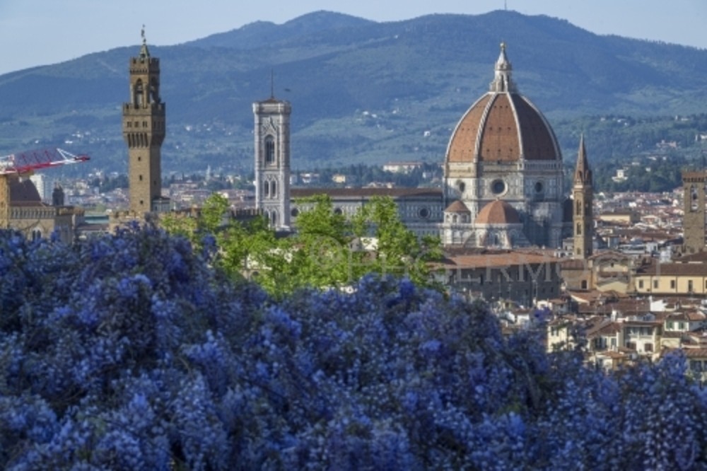 Ricostruito il passato della Toscana: a Firenze ci nuotavano squali