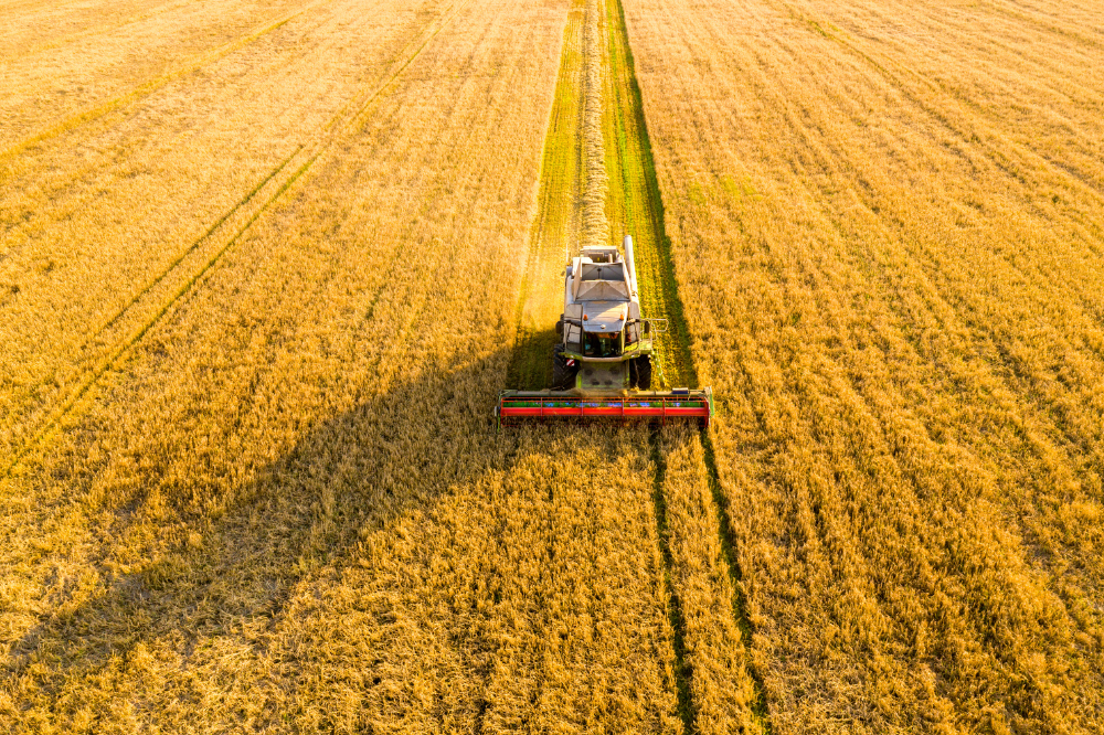 Agricoltura, Cavicchioli (Confagricoltura Toscana): “Si chiude anno difficile, Pac non rispecchia reali esigenze del settore”