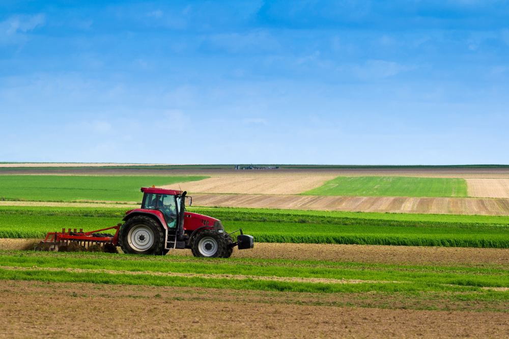 Agricoltura, Regione Toscana approva la cartografia per il metodo Leader