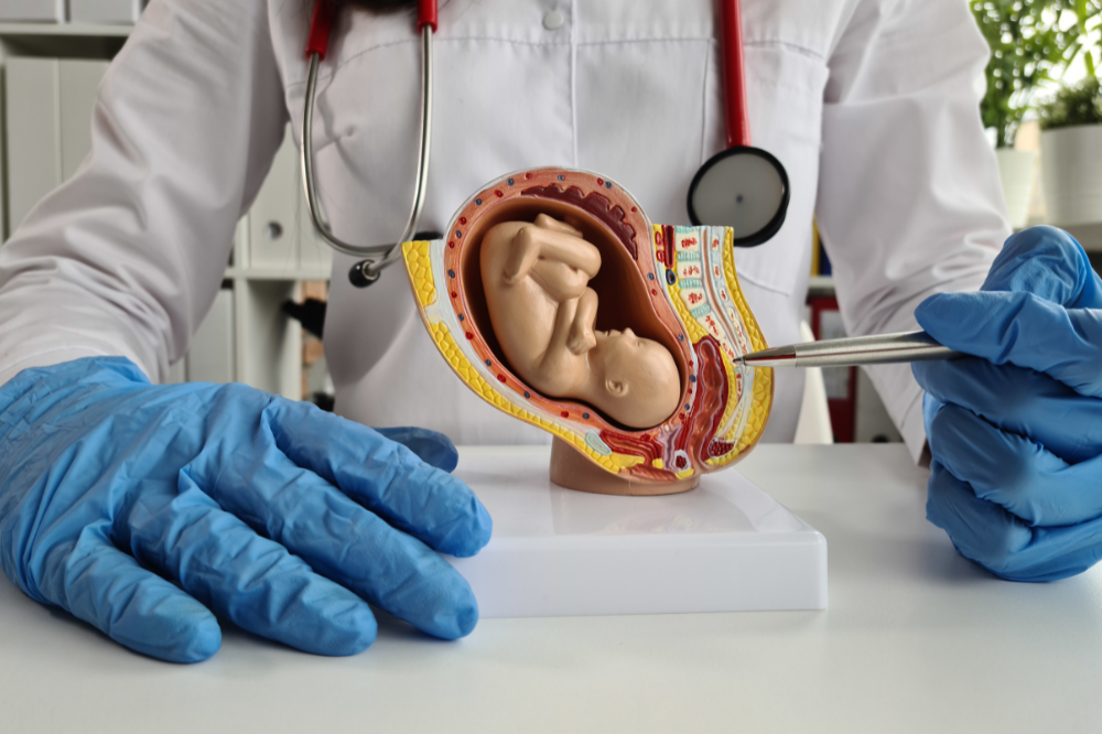 Procreazione medicalmente assistita: arriva l’aiuto dal SSN