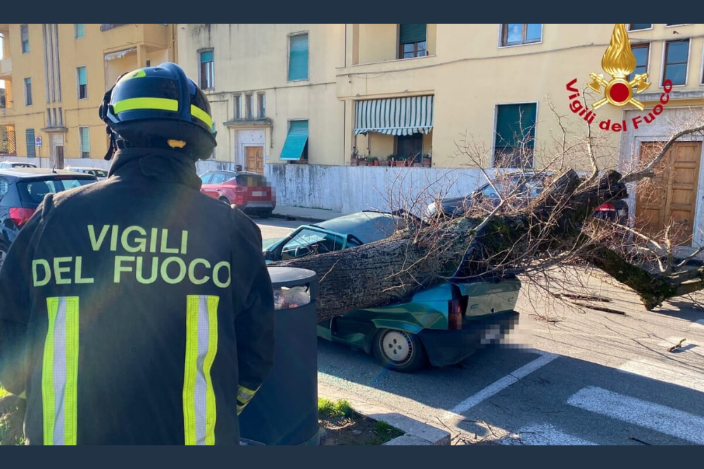 Albero cade su un’auto in sosta a Fucecchio, nessun ferito