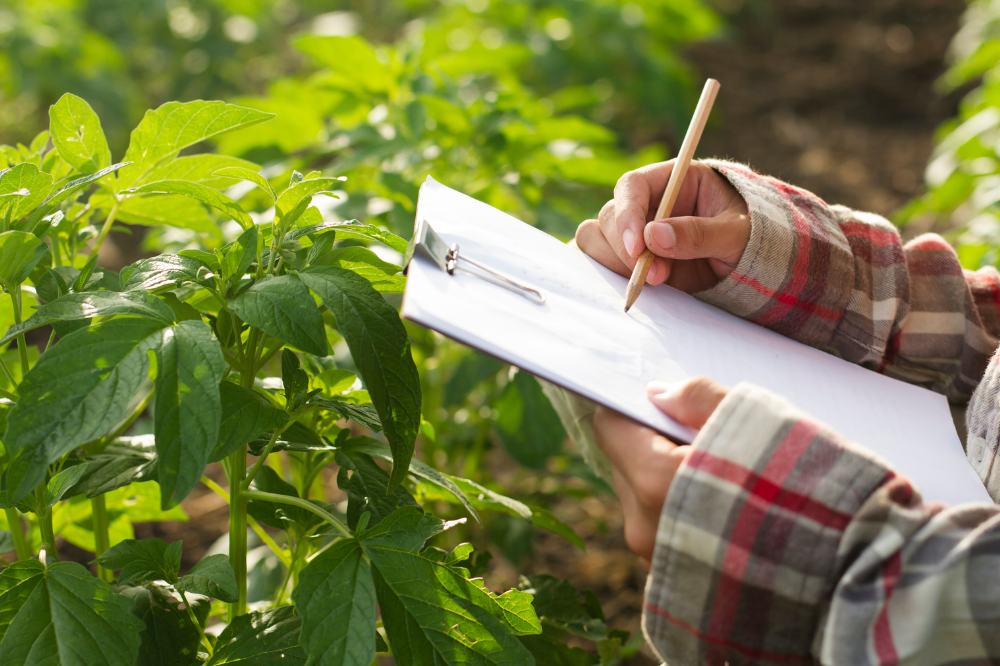Agricoltura, dalla Regione Toscana bando da 12,5 mln per i Gruppi operativi Pei