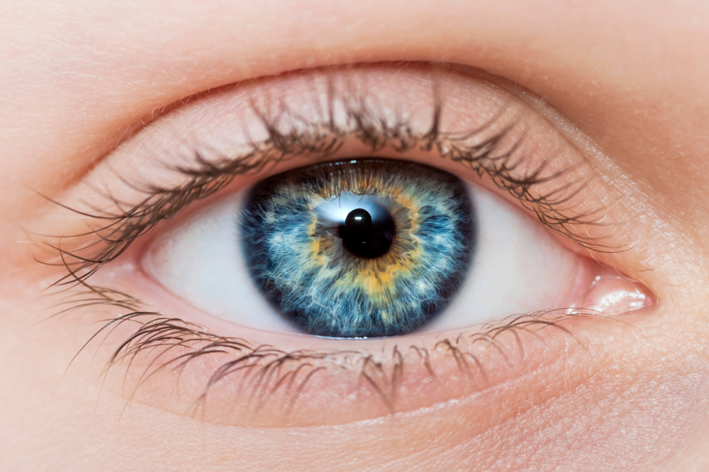 Studio dell'Università di Firenze analizza il legame tra calcolo numerico ed identità visiva