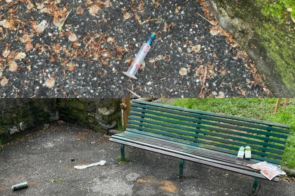 Lungarno Santa Rosa: un verde che chiede aiuto