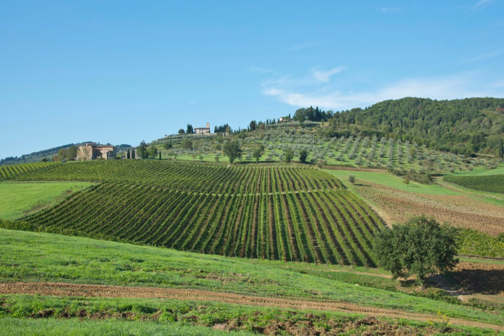 Ruralità e produzioni agricole: approvato dalla Giunta regionale il bando da 300mila euro per la Toscana diffusa 