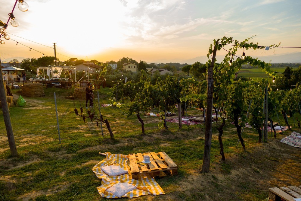 La Regione Toscana finanzia con 40mila euro le Strade del vino, dei sapori e dell'olio