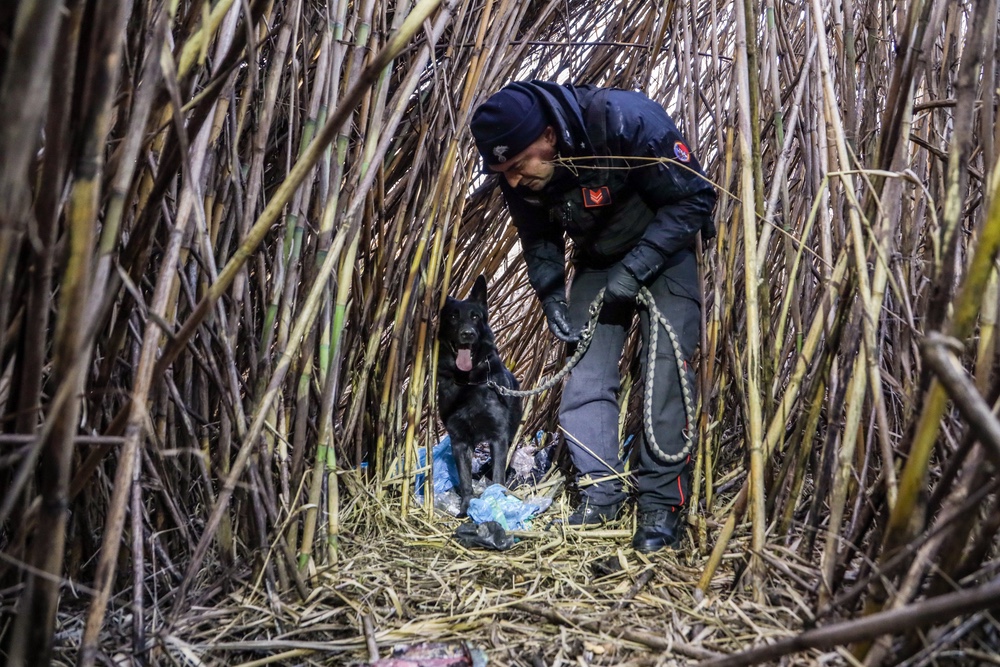 Operazione antidroga nei boschi di Sant’Appiano