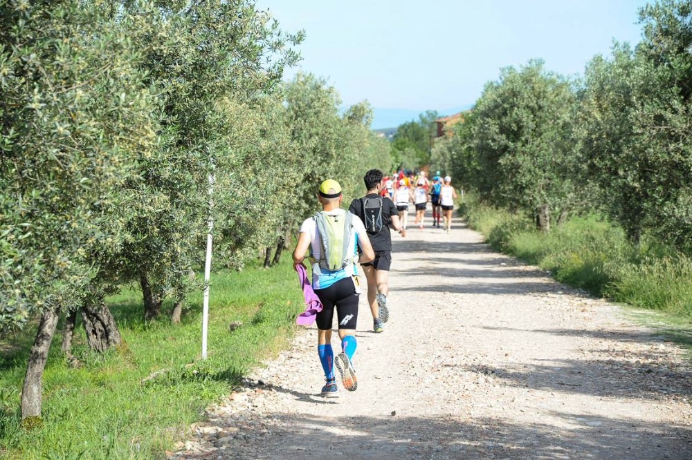 Al via alla 7ª edizione della Chianti Classico Marathon 