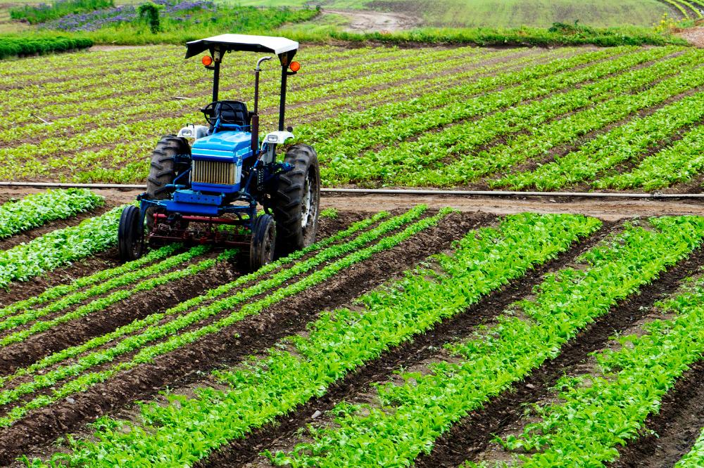 Competitività aziende agricole Toscana, proroga bando da 70 milioni 