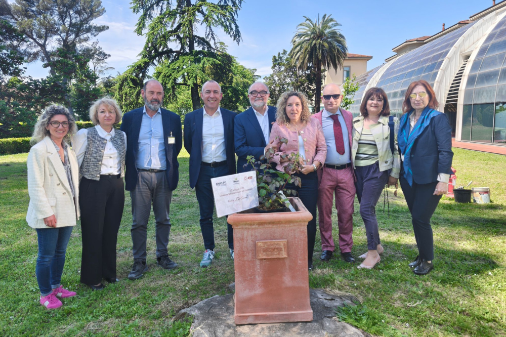 Al Meyer la rosa “La Cura”, simbolo del lavoro infermieristico