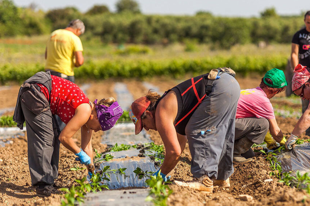 Presidio Cgil a Firenze, “Stop al caporalato in agricoltura”