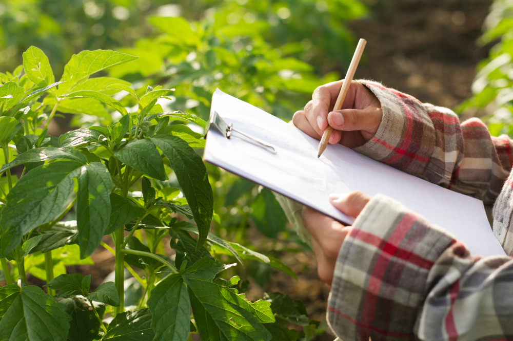 Salute mentale in agricoltura, incontro su ‘tema sottovalutato’