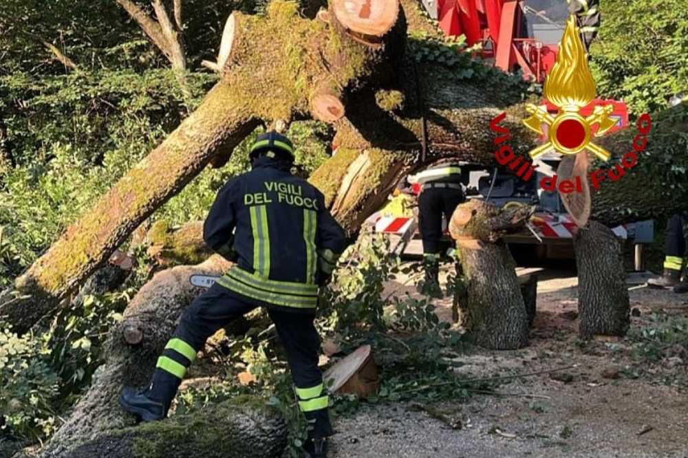 Albero cade in strada a Lastra a Signa