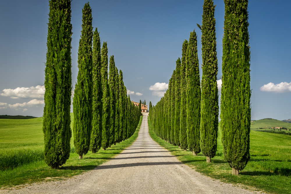 Il turismo in Toscana cresce ma a ritmi contenuti