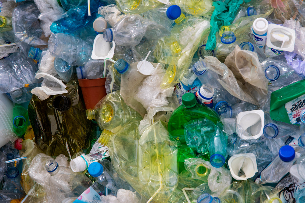 Si rinnova l'intesa fra il Comune di Firenze e Plastic free onlus