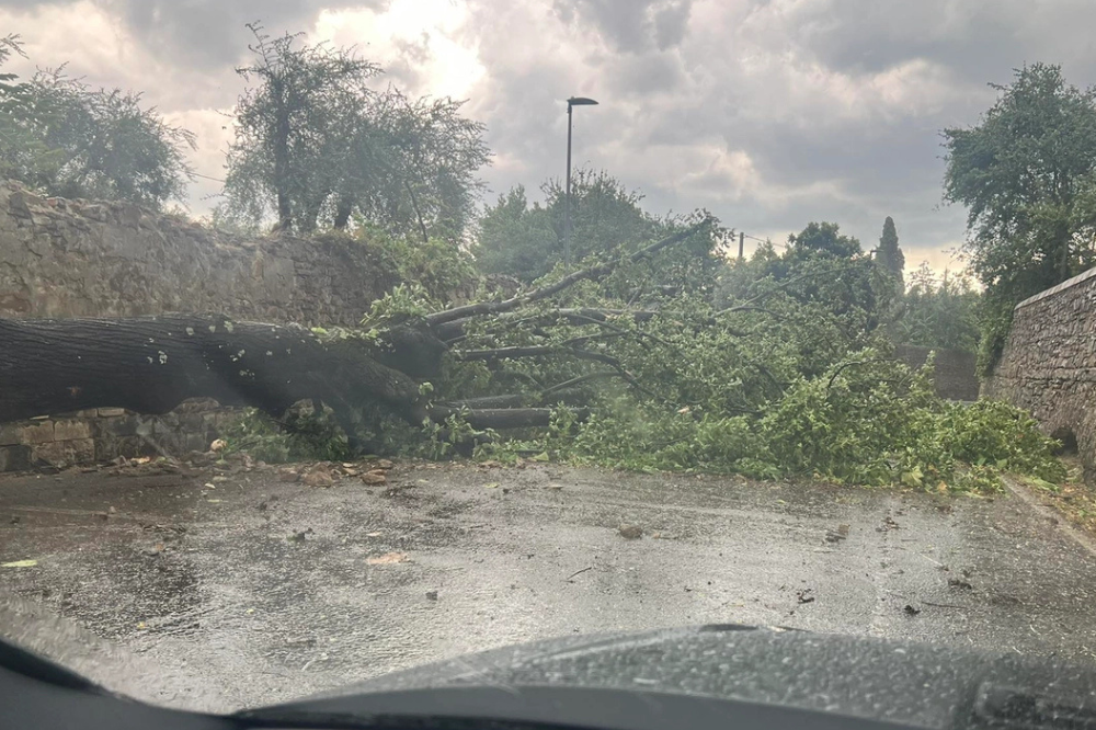 Dopo il grande caldo arriva una tempesta di vento a Firenze