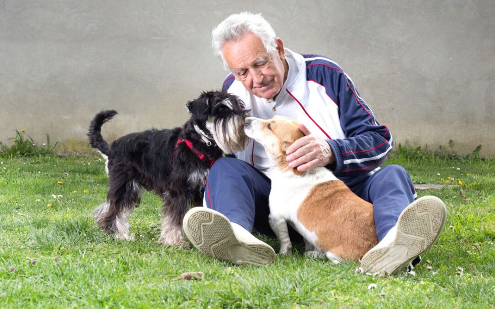 Gli animali da compagnia migliorano la vita degli over 75: più riposo, serenità e compagnia