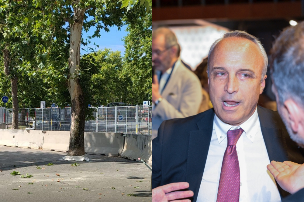 Sabatini (Lista Schmidt): “Altro cantiere, altro albero sommerso di catrame”