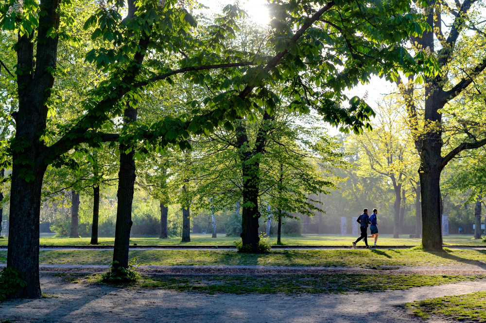 Parco viale Malta a Firenze, prima apertura per le nuove aree verdi
