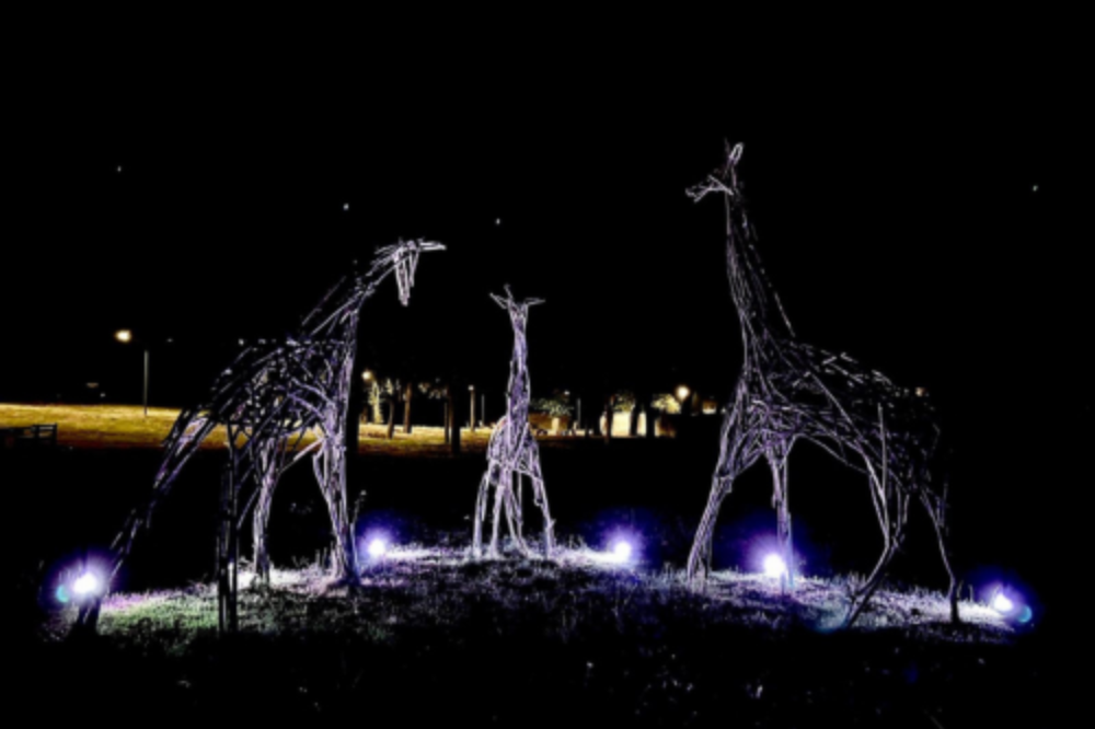 Parco del Meyer, le giraffe brilleranno anche la notte