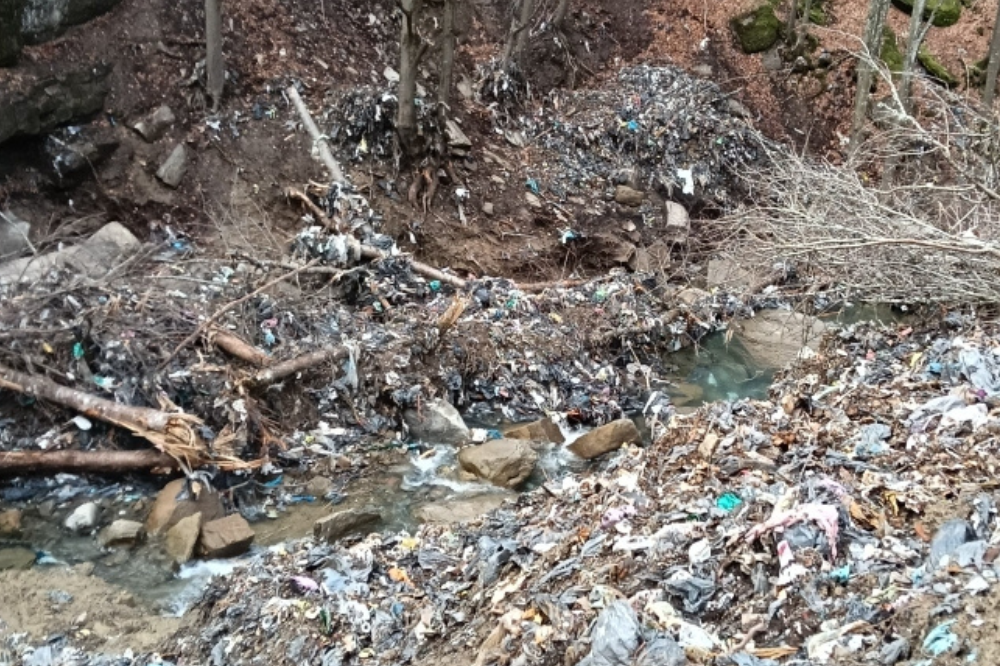 Il torrente Rovigo è tornato a respirare