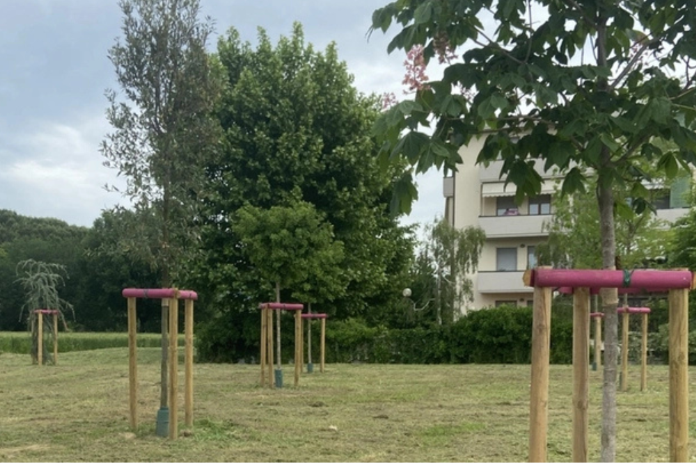 Prato, chiuse tutte le aree verdi fino al 24 agosto per controlli sugli alberi