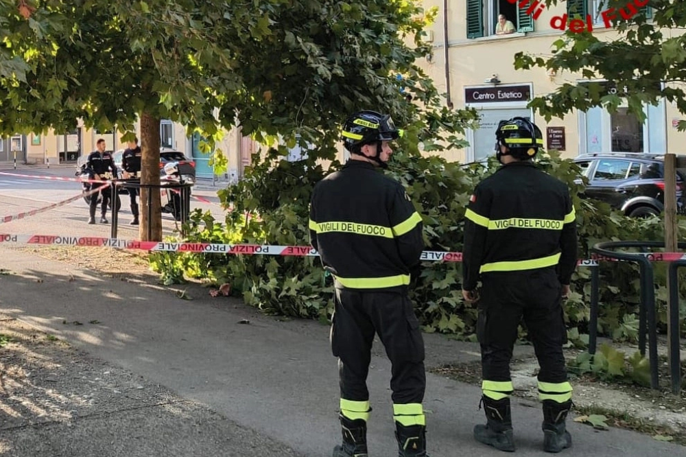 Colpita da un ramo in piazza Acciaiuoli, le sarà amputato l’alluce sinistro