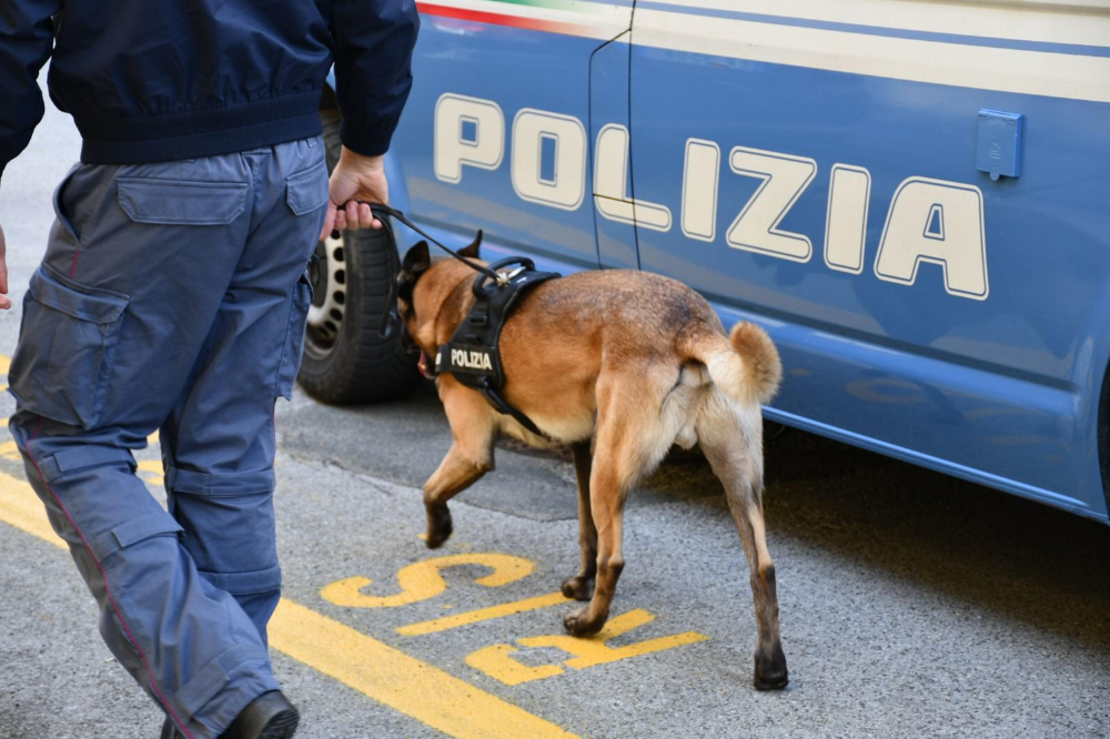 Scappano dall'alt, 3 arrestati con eroina nel Fiorentino