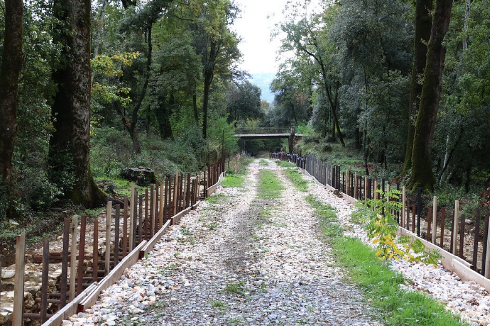 Visite guidate presso il Viale degli Zampilli del Parco Mediceo di Pratolino