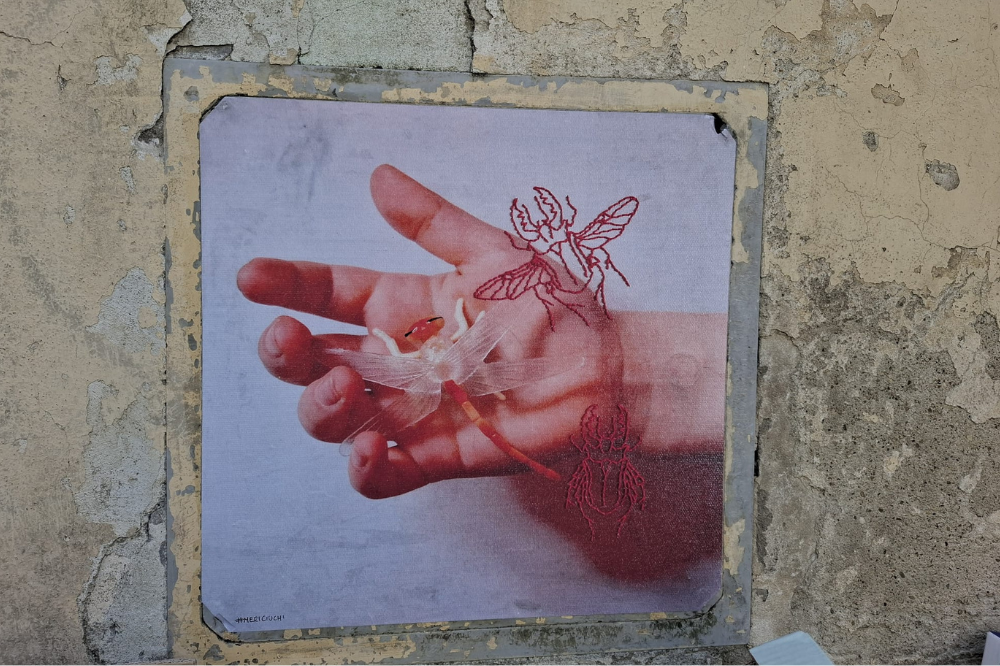 La Street art irrompe nelle vie di San Casciano