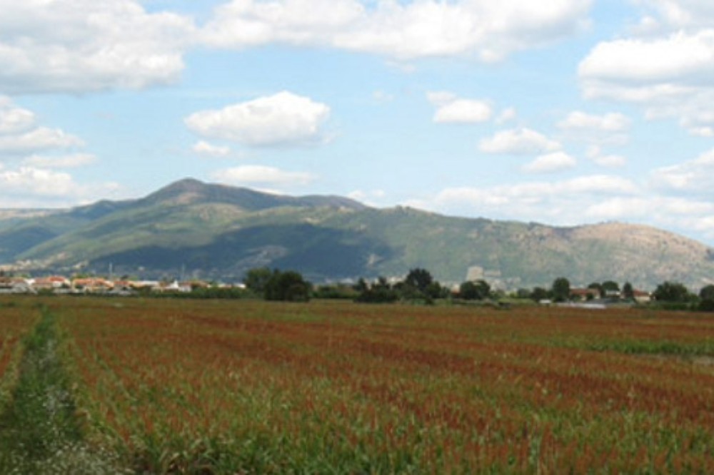 Parco Agricolo della Piana: 40 associazioni firmano il Patto per uno sviluppo sostenibile
