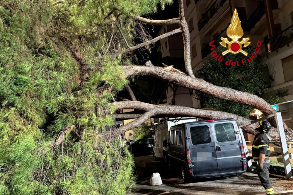 Novoli: grosso pino cade su furgone in sosta