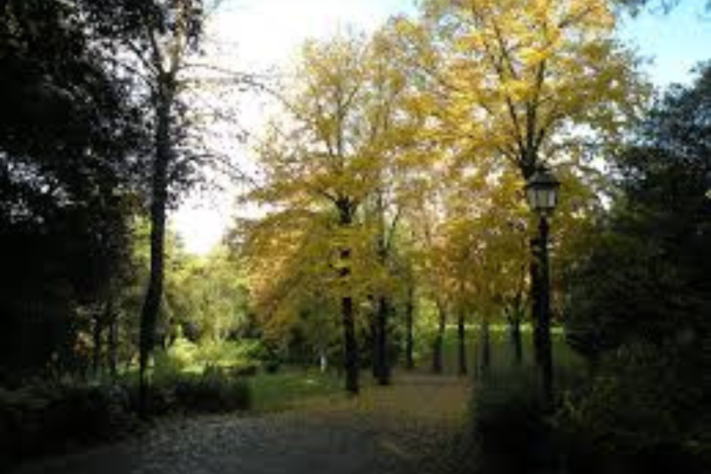 Sono terminati i lavori al parco di Villa Strozzi