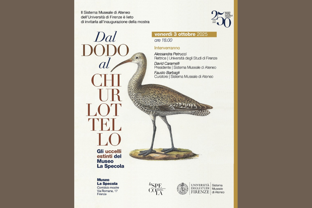 A La Specola in mostra la natura che non c'è più