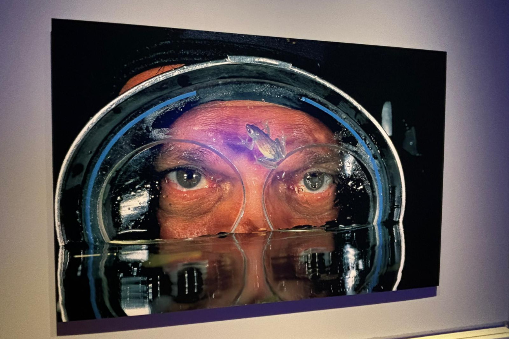 \'Oceani. David Doubilet\': la meraviglia del mare arriva a Firenze grazie alla Fondazione CR Firenze