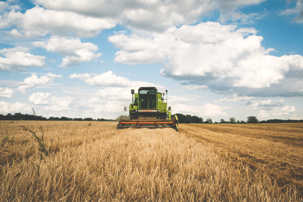 Report Ismea, positivi gli indicatori dell'export agroalimentare toscano