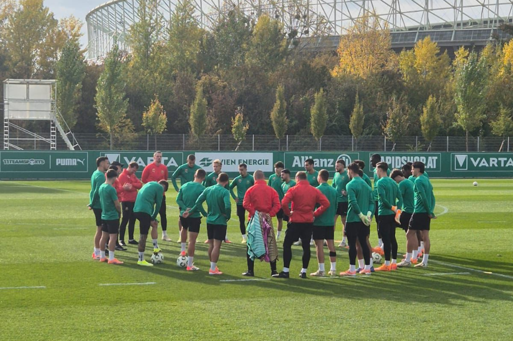 Fiorentina, si cambia: quante rotazioni per Pioli
