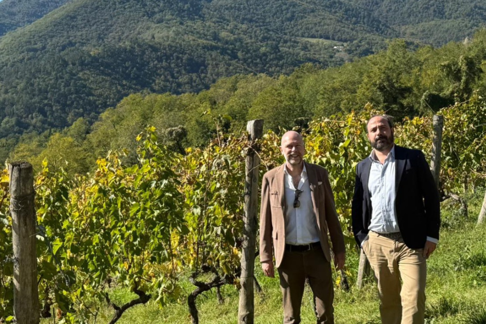 Chianti Rufina cresce nel mercato globale: entra nella rete internazionale Global AVA