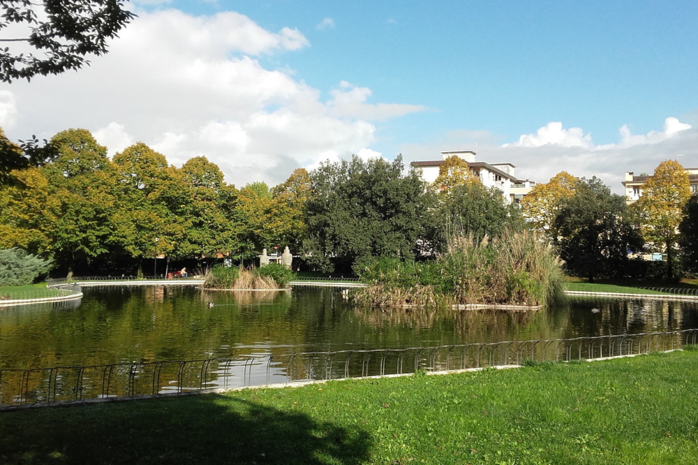 Cade albero nel parco di Villa Vogel, Comune di Firenze: “Nessun danno”